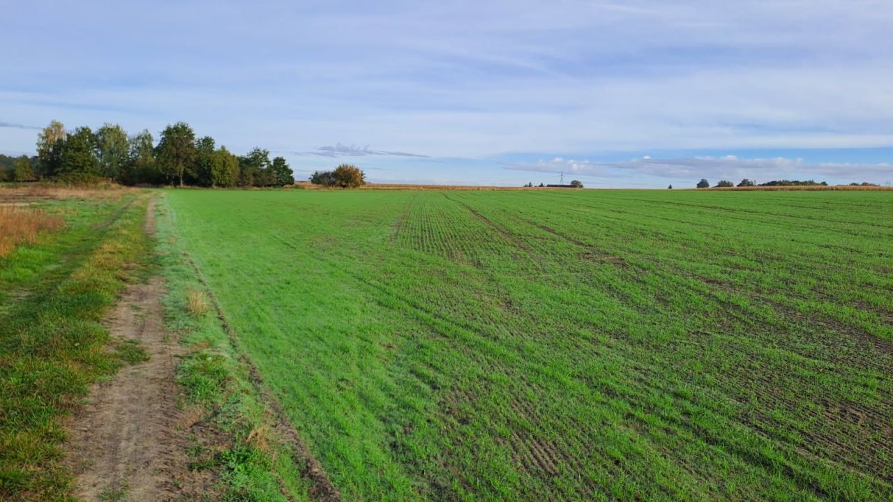 Działka budowlana Dobruchów. Zdjęcie 5