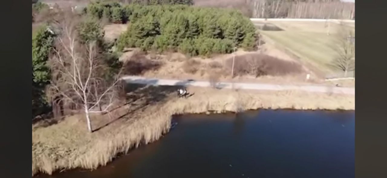 Działka budowlana Osowiec, ul. Parkowa