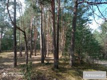 Działka rolna Jawor. Zdjęcie 3