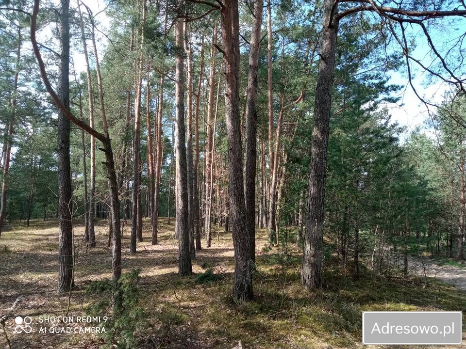 Działka rolna Jawor. Zdjęcie 4