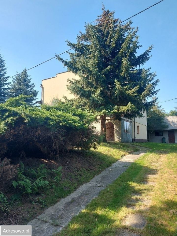 dom wolnostojący, 7 pokoi Sułków. Zdjęcie 5