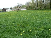 Działka rolno-budowlana Boduszów. Zdjęcie 3