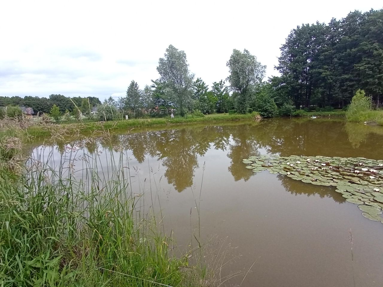 Działka inwestycyjna Krężoły, ul. Ziołowa. Zdjęcie 4