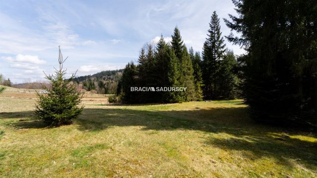 dom wolnostojący, 3 pokoje Sidzina. Zdjęcie 28