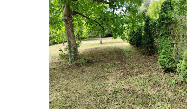 Działka budowlana Milanówek, ul. Lipowa