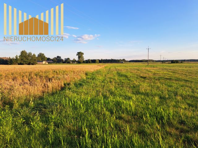 Działka rolna Borki. Zdjęcie 7