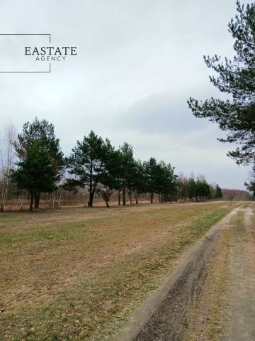 Działka budowlana Koryta, ul. Lipowa. Zdjęcie 3