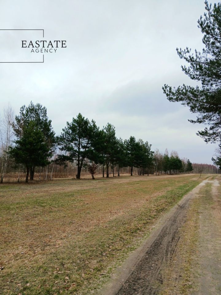 Działka budowlana Koryta, ul. Lipowa. Zdjęcie 3