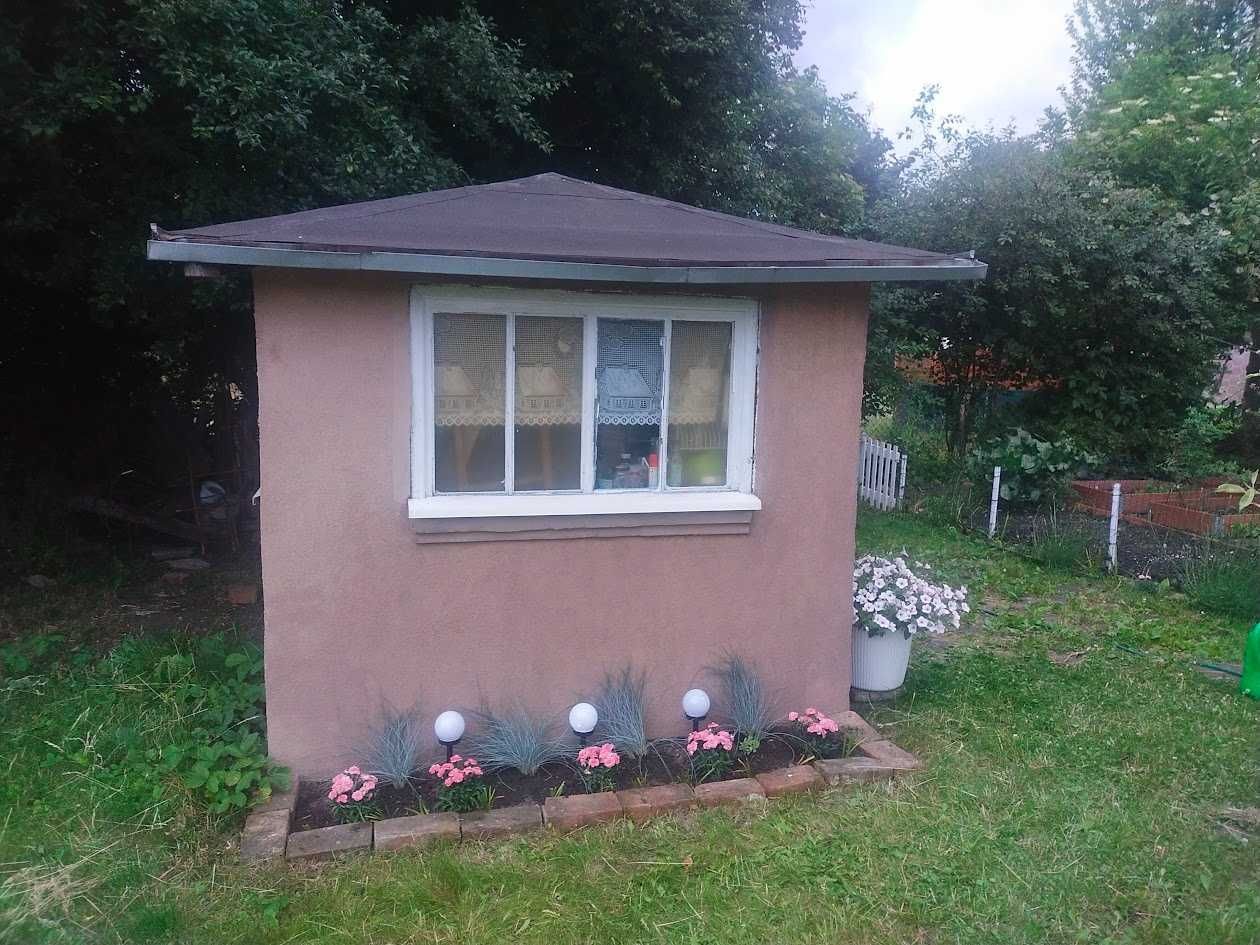 Działka rod Tczew. Zdjęcie 7