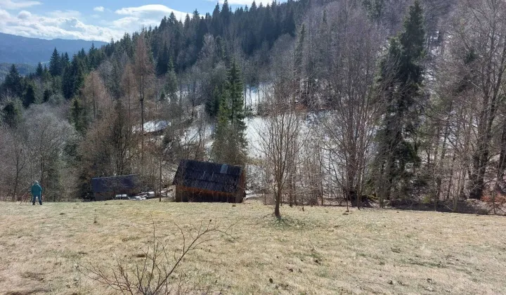 Działka Ochotnica Górna