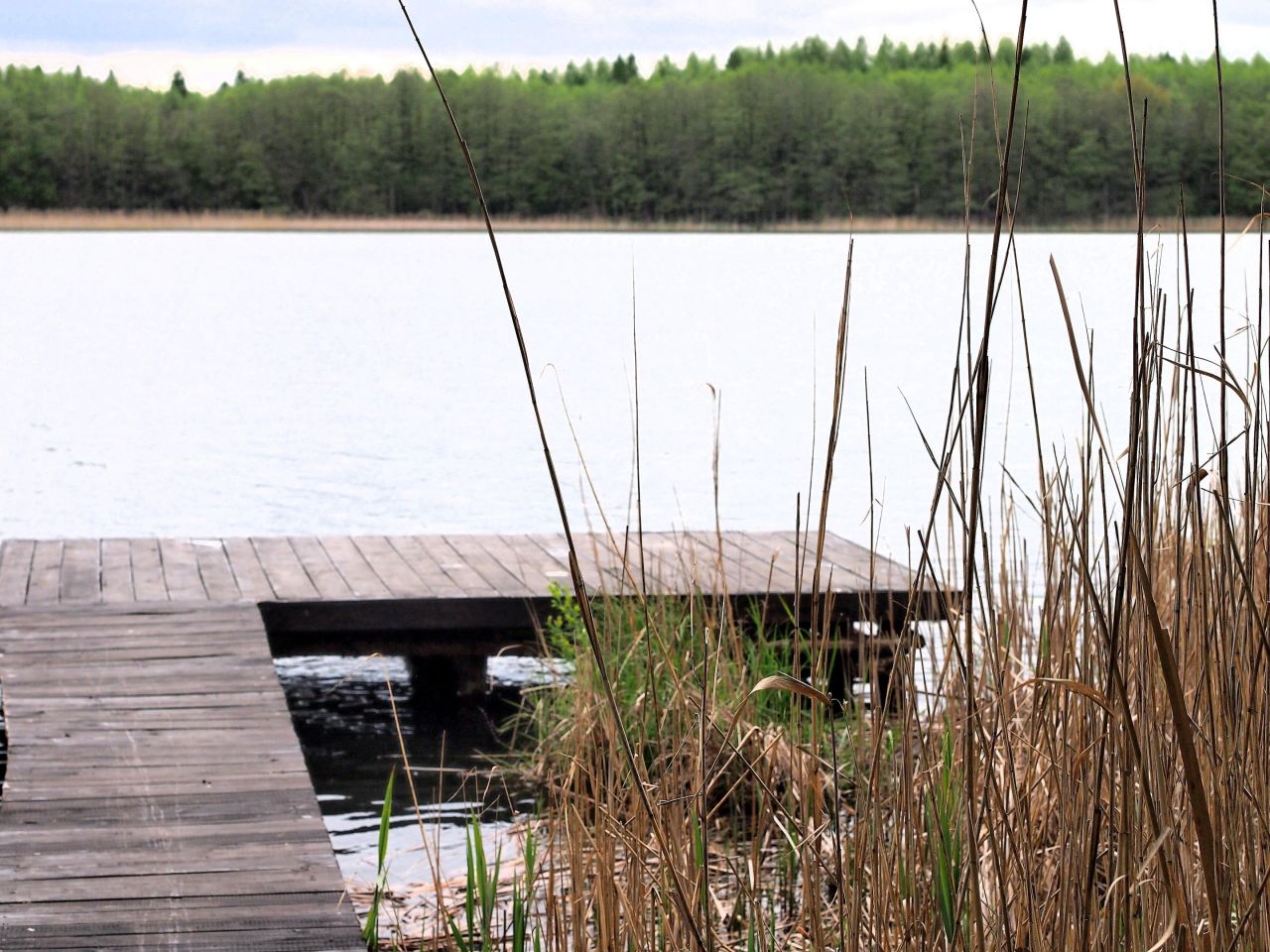 Działka rolna Swobodna. Zdjęcie 4