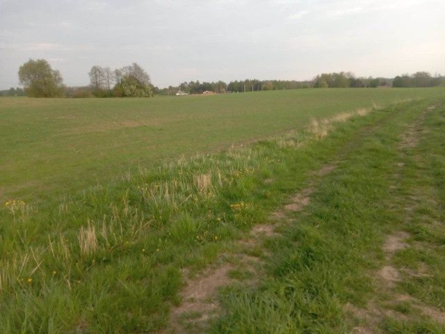 Działka rolna Karbowskie. Zdjęcie 1