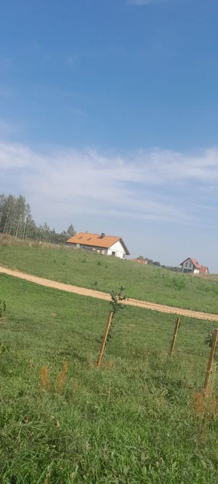 Działka rolna Lubiewo. Zdjęcie 5