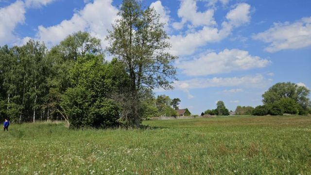 Działka rekreacyjna Gutków. Zdjęcie 7