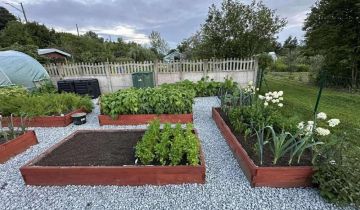 Działka rod Kępno, ul. Wieluńska