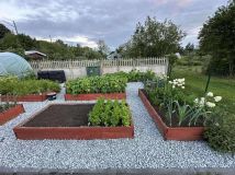 Działka rod Kępno, ul. Wieluńska. Zdjęcie 1