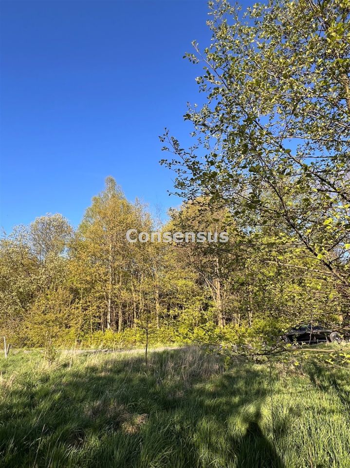 Działka budowlana Mikołów. Zdjęcie 7