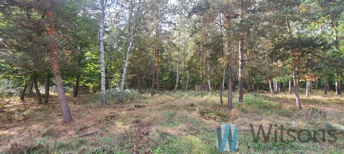 dom wolnostojący, 5 pokoi Żabia Wola. Zdjęcie 7
