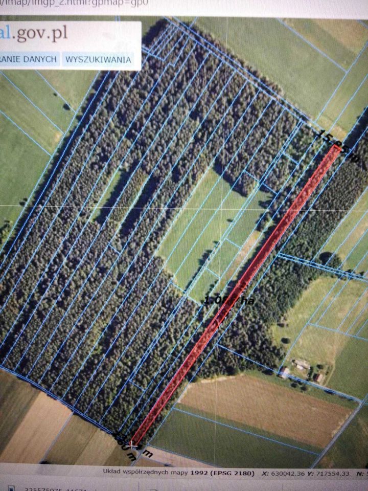 Działka leśna Kramkówka Duża. Zdjęcie 5