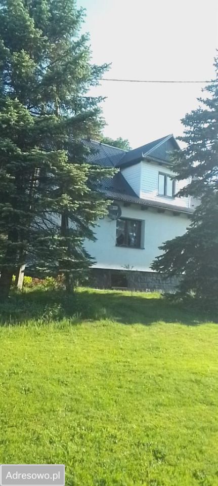 Pokój Limanowa, ul. Krakowska