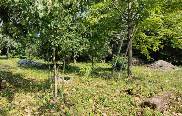 Działka rod Rydzyna, ul. Kasztanowa. Zdjęcie 1