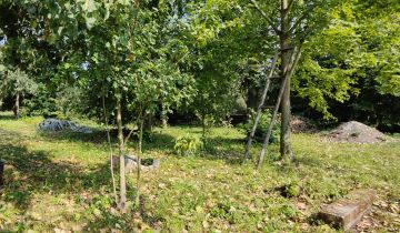 Działka rod Rydzyna, ul. Kasztanowa