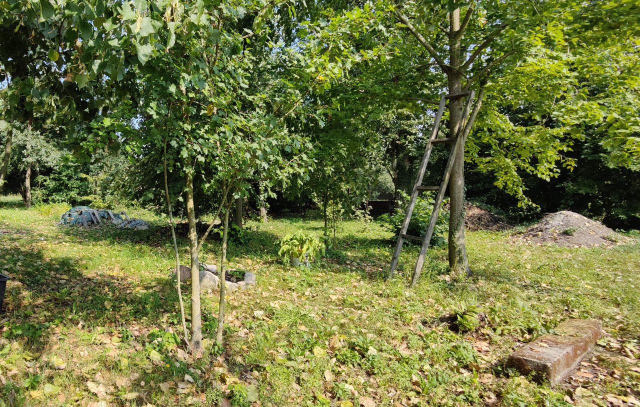 Działka rod Rydzyna, ul. Kasztanowa