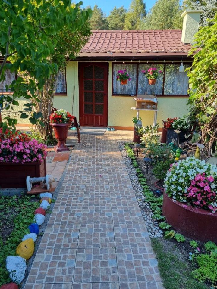 Działka rekreacyjna Stary Strachocin. Zdjęcie 7