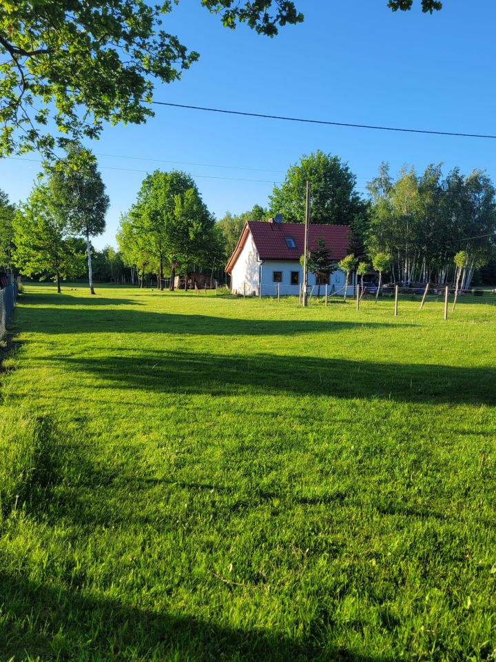 Działka rolno-budowlana Dąbrówka. Zdjęcie 1