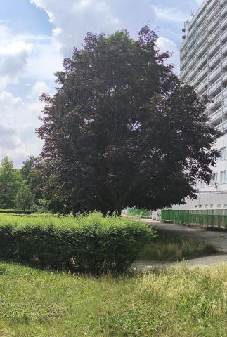 Mieszkanie 1-pokojowe Wrocław Krzyki, ul. Powstańców Śląskich. Zdjęcie 43