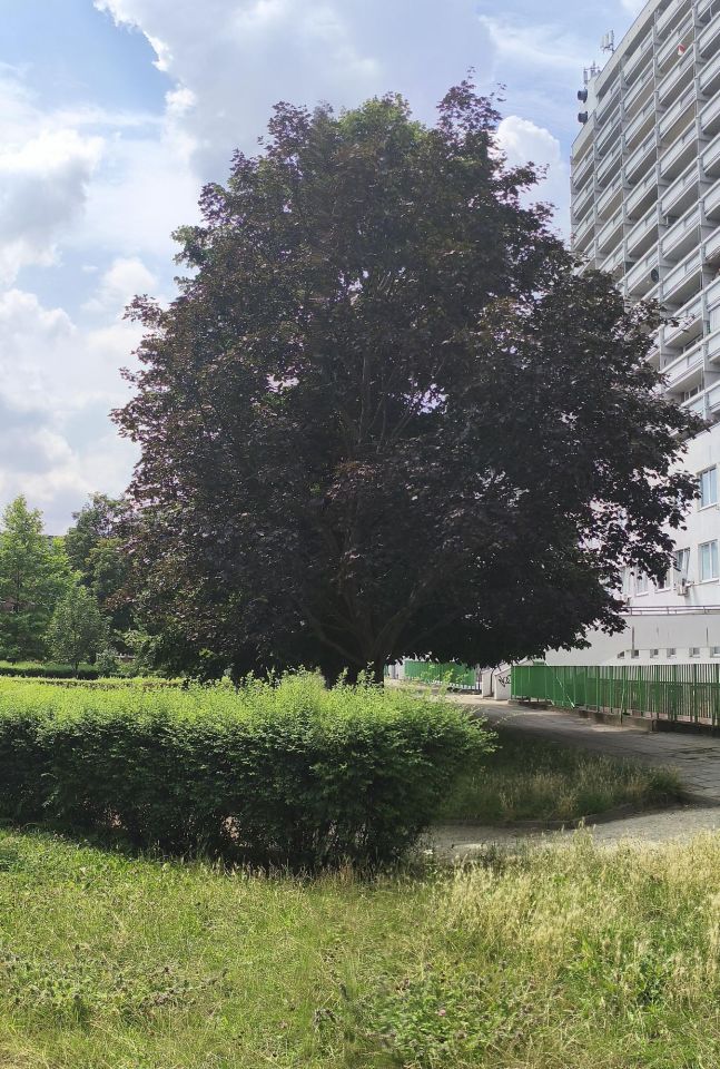 Mieszkanie 1-pokojowe Wrocław Krzyki, ul. Powstańców Śląskich. Zdjęcie 42