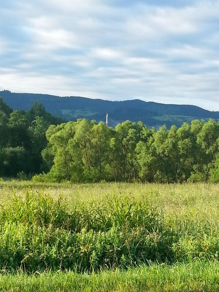 Działka inwestycyjna Gilowice Rozcięta, ul. Zakopiańska. Zdjęcie 2