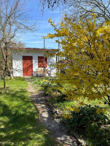 Działka rod Myślibórz. Zdjęcie 1