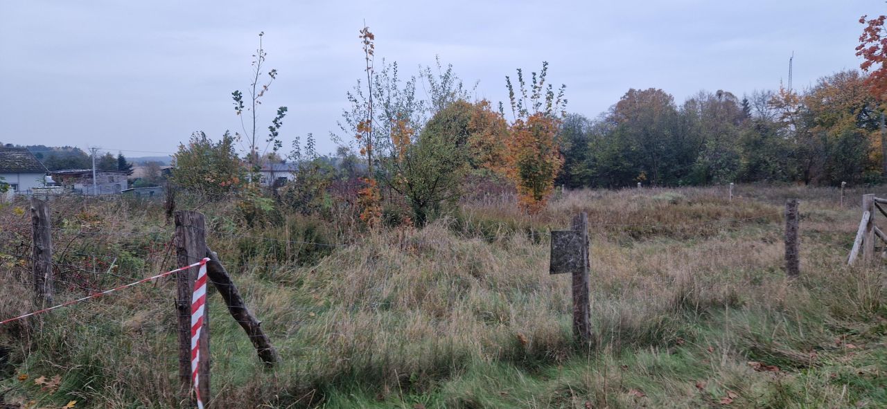 Działka budowlana Budowo, ul. Lipowa. Zdjęcie 6