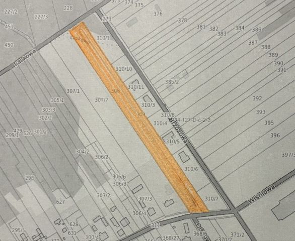 Działka inwestycyjna Pasek. Zdjęcie 1