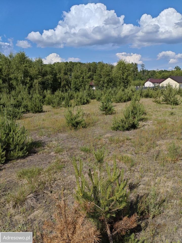 Działka budowlana Malanów. Zdjęcie 4