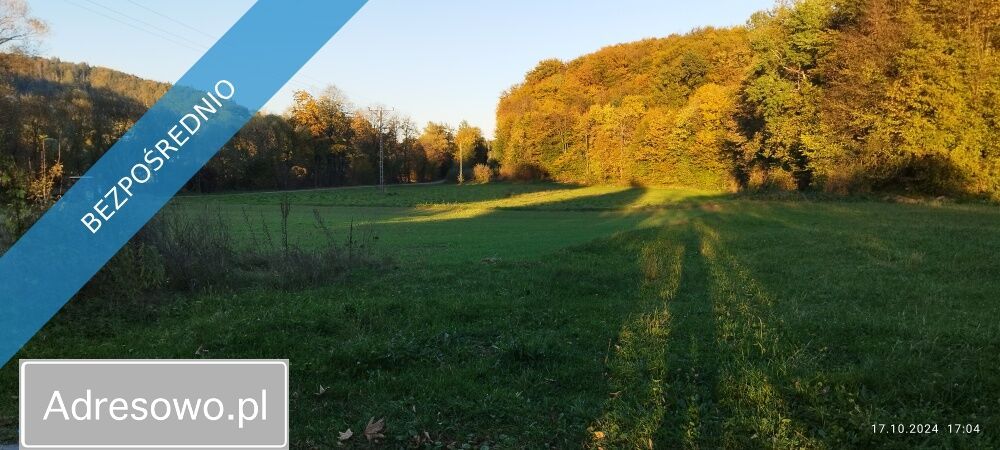 Działka rolno-budowlana Szymbark. Zdjęcie 5