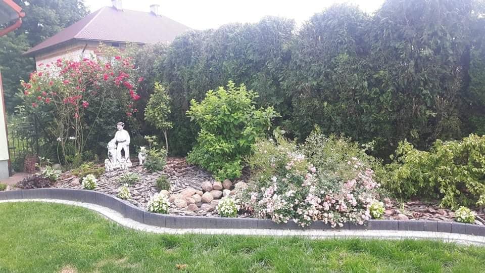 dom wolnostojący, 4 pokoje Młodów. Zdjęcie 9