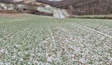 Działka rolna Chrzanów Chrzanów Czwarty