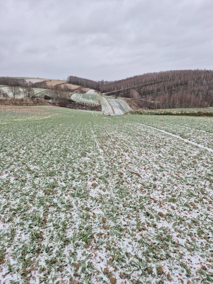 Działka rolna Chrzanów Chrzanów Czwarty. Zdjęcie 2