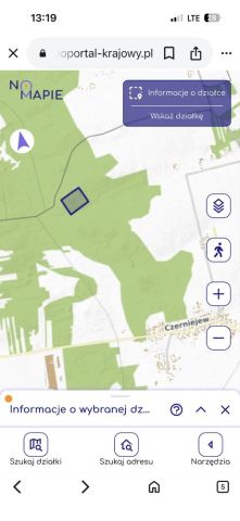 Działka leśna Czerniejew. Zdjęcie 1