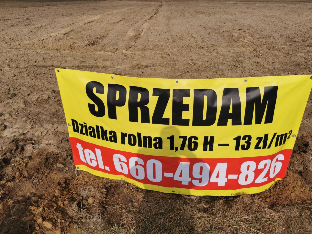 Działka rolna Bechcice-Kolonia. Zdjęcie 4