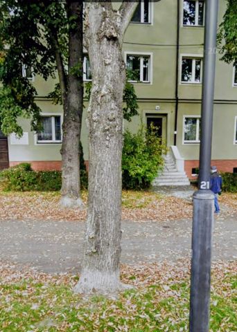 Mieszkanie 2-pokojowe Gliwice Śródmieście, ul. Adama Mickiewicza. Zdjęcie 1