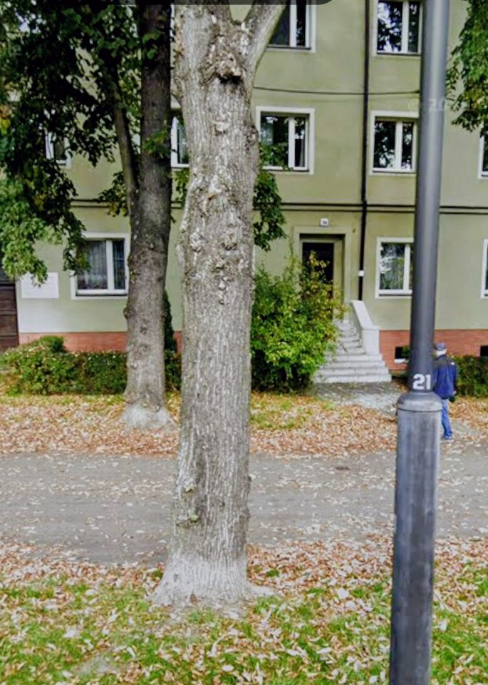 Mieszkanie 2-pokojowe Gliwice Śródmieście, ul. Adama Mickiewicza. Zdjęcie 1