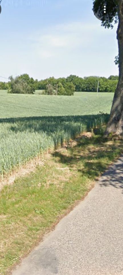 Działka rolno-budowlana Plemięta. Zdjęcie 2