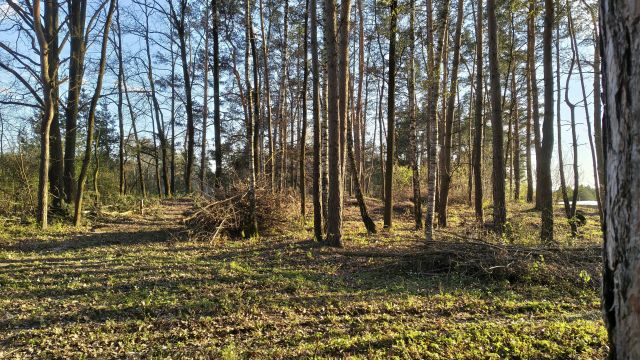 Działka budowlana Kielce Słowik-Willa, ul. Charsznicka. Zdjęcie 3