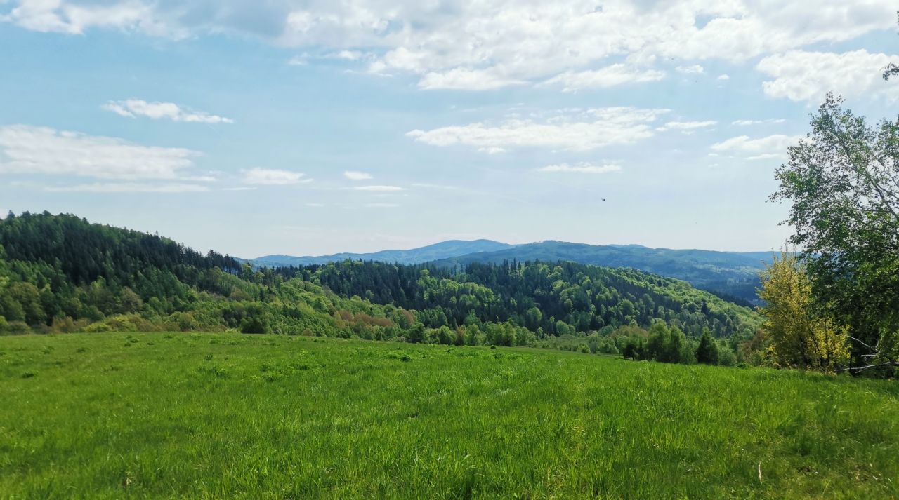 Działka budowlana Jedlina-Zdrój Kamieńsk, ul. Zielona. Zdjęcie 6