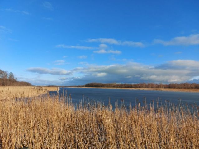 Działka budowlana Szczechy Małe. Zdjęcie 1