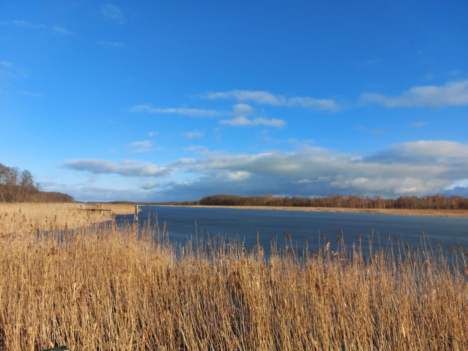Działka budowlana Szczechy Małe