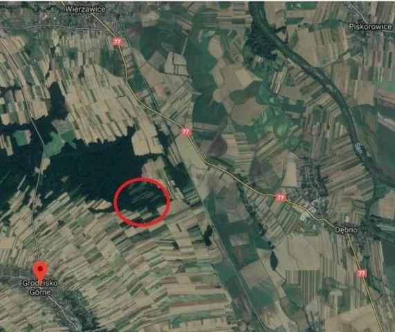 Działka leśna Grodzisko Górne. Zdjęcie 1